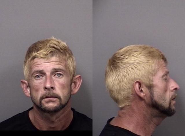 William Young arrested May 30 on a felony charge of child abuse and a misdemeanor charge of domestic battery.